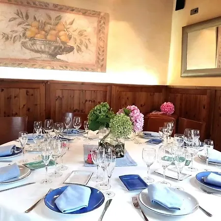 Hotel Rosa & Begur